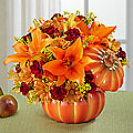 Bountiful Pumpkin