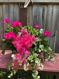 Love Everlasting Pink