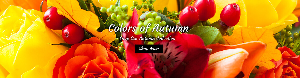 Autumn
