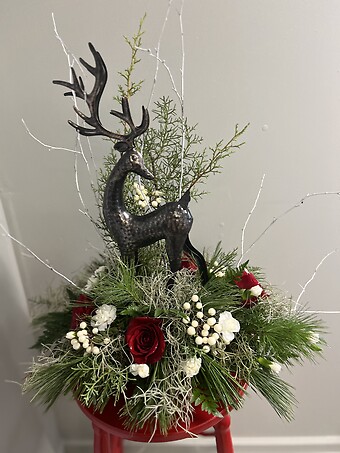 Nature&#039;s Beauty