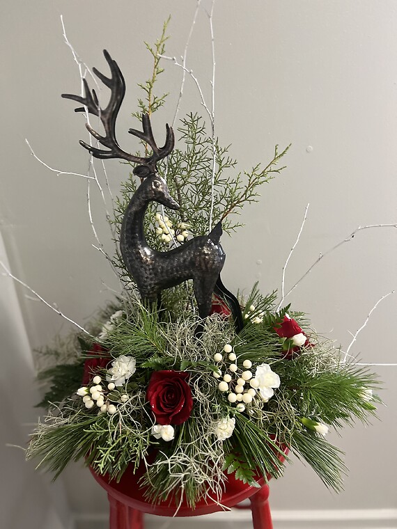 Nature&#039;s Beauty